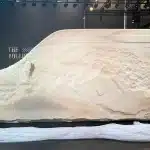 The Boulder sprinter
